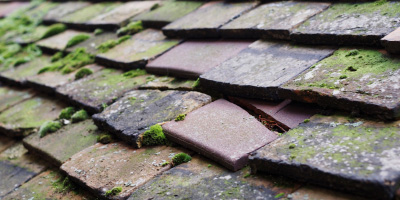 Launceston roof repair costs